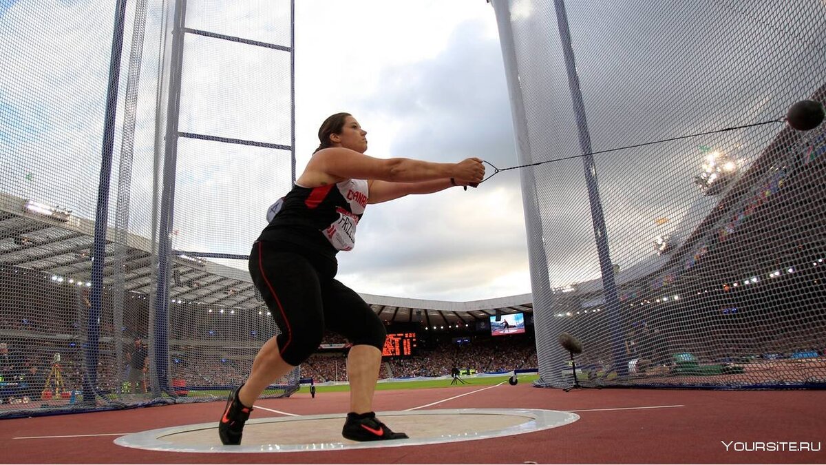 Фото из открытых источников