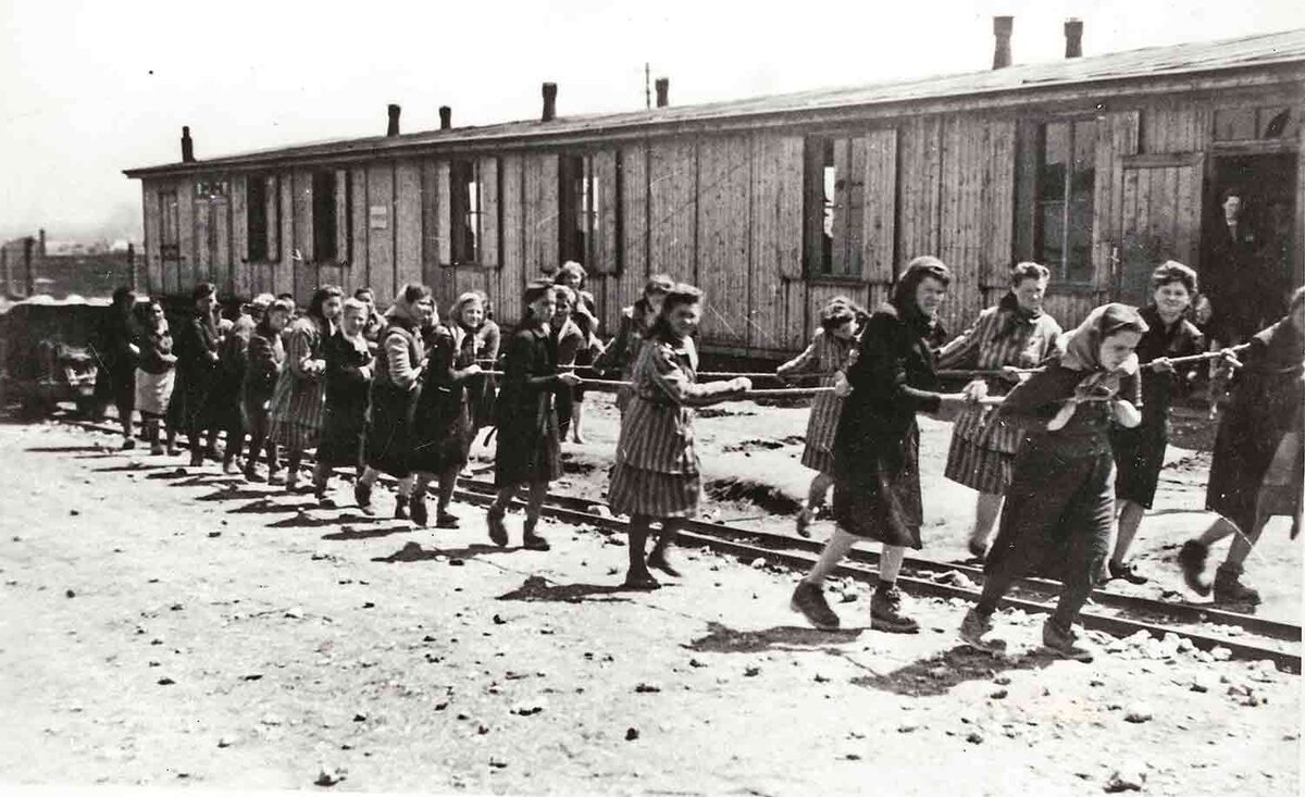 Фото взято из открытых источников