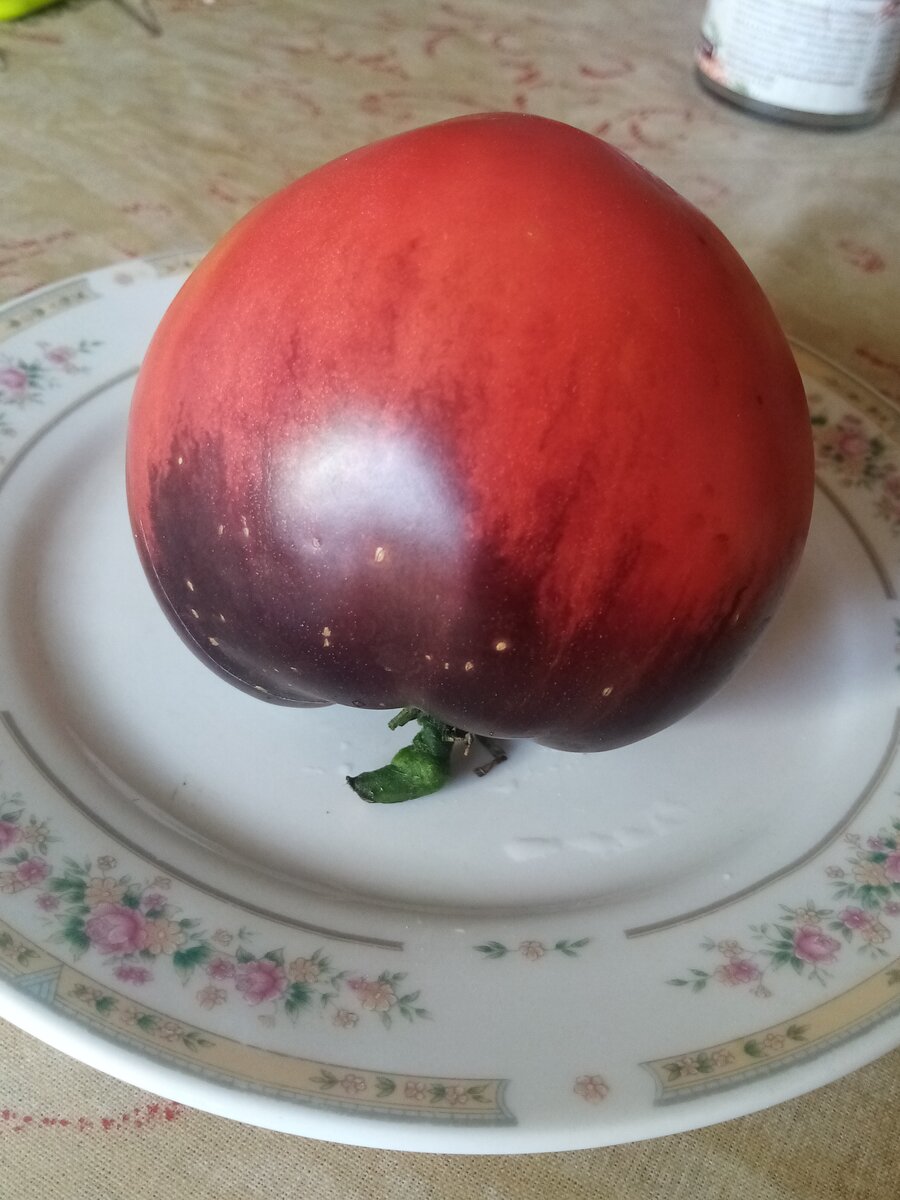 Сержант Пеппер 