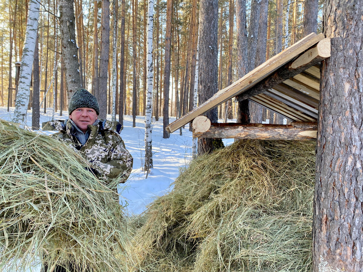 Меню для лесных обитателей 