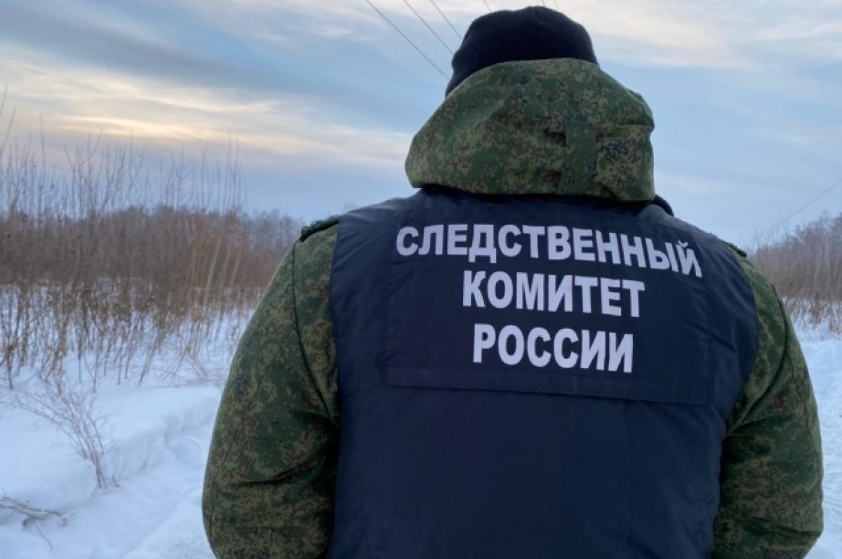    Тюменец спрятал труп знакомого в огороде и присыпал снегом