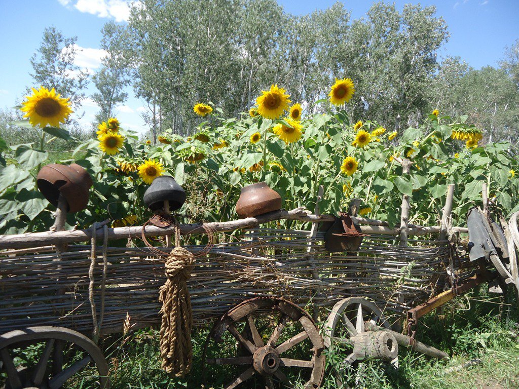 Мама Мария. | Жизнь прекрасна!!! | Дзен