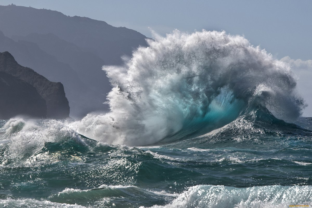 Яндекс картинки. Свободный доступ.