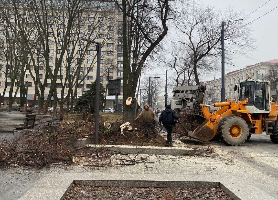     Фото городского управления экологии  Предоставлено