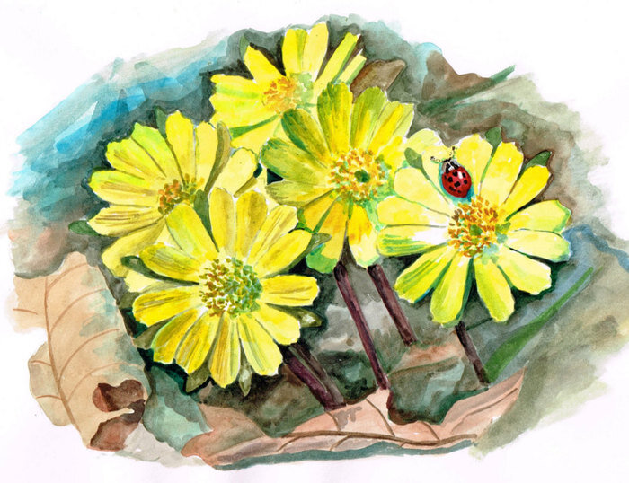 9. ��� ��������� ������ �� �������. ����������� ������: illustrators.ru