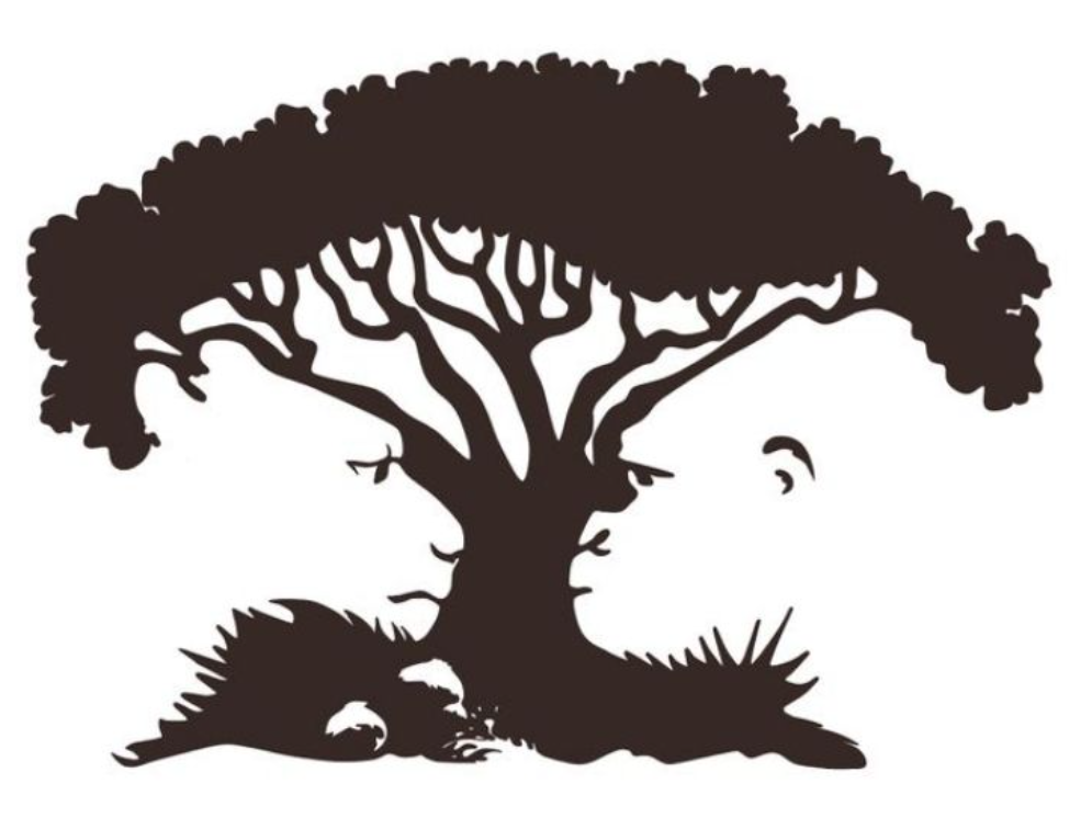 Фото из открытого источника