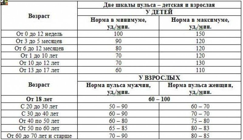 Какой должен быть пульс у человека