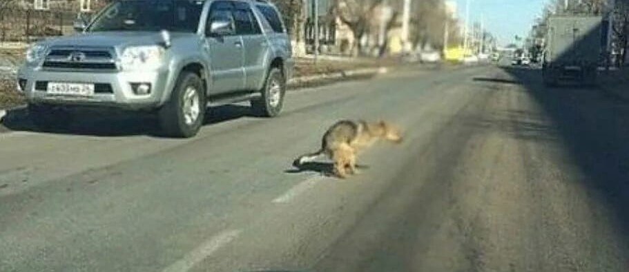 Ямочный ремонт дорог