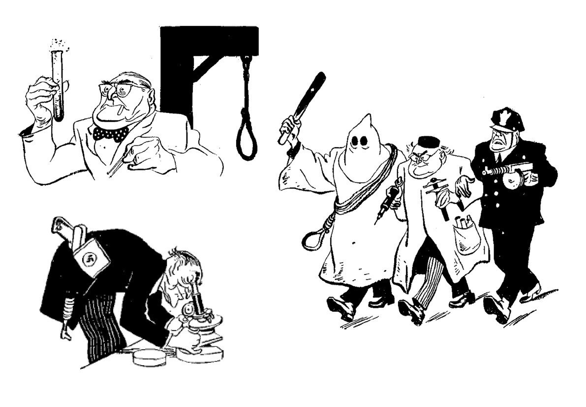 Советские политические карикатуры на генетику и генетиков. Журнал «Огонек», № 11 за 1949 год. Иллюстрации к статье А.Н. Студитского «Мухолюбы-человеконенавистники»