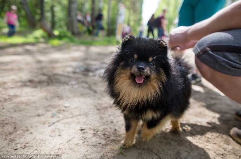    Архивное фото