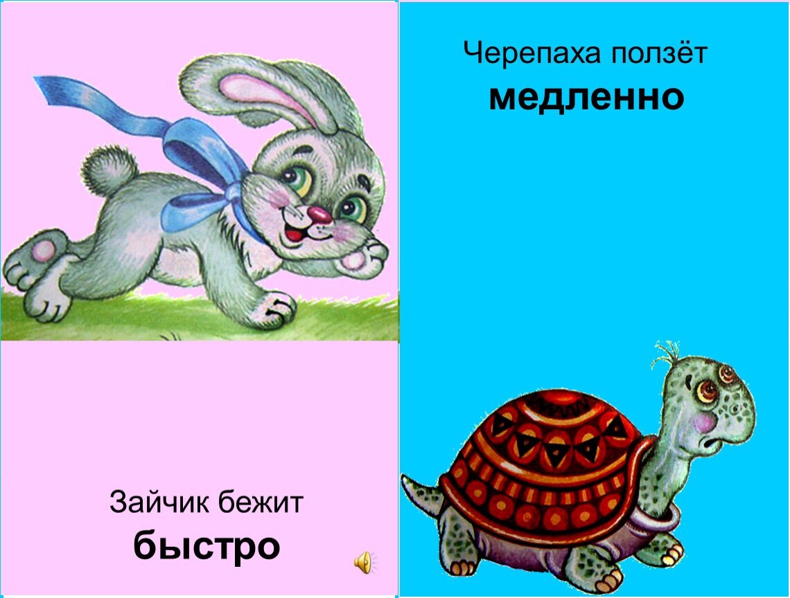  Зайчик и черепаха. Сможет ли зайчик догнать черепаху? А если все-таки сможет? А если перегонит? Коллаж из открытых источников.