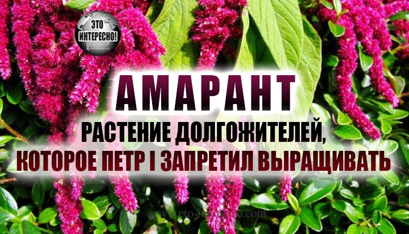 Фото находится в широком доступе интернета