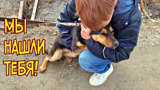 🔴Первые секунды встречи с найденной собакой Марусей | она обнимает нас | 😭я плачу😭 | Found your dog