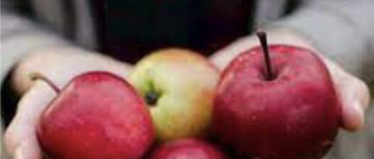 из свободных источников