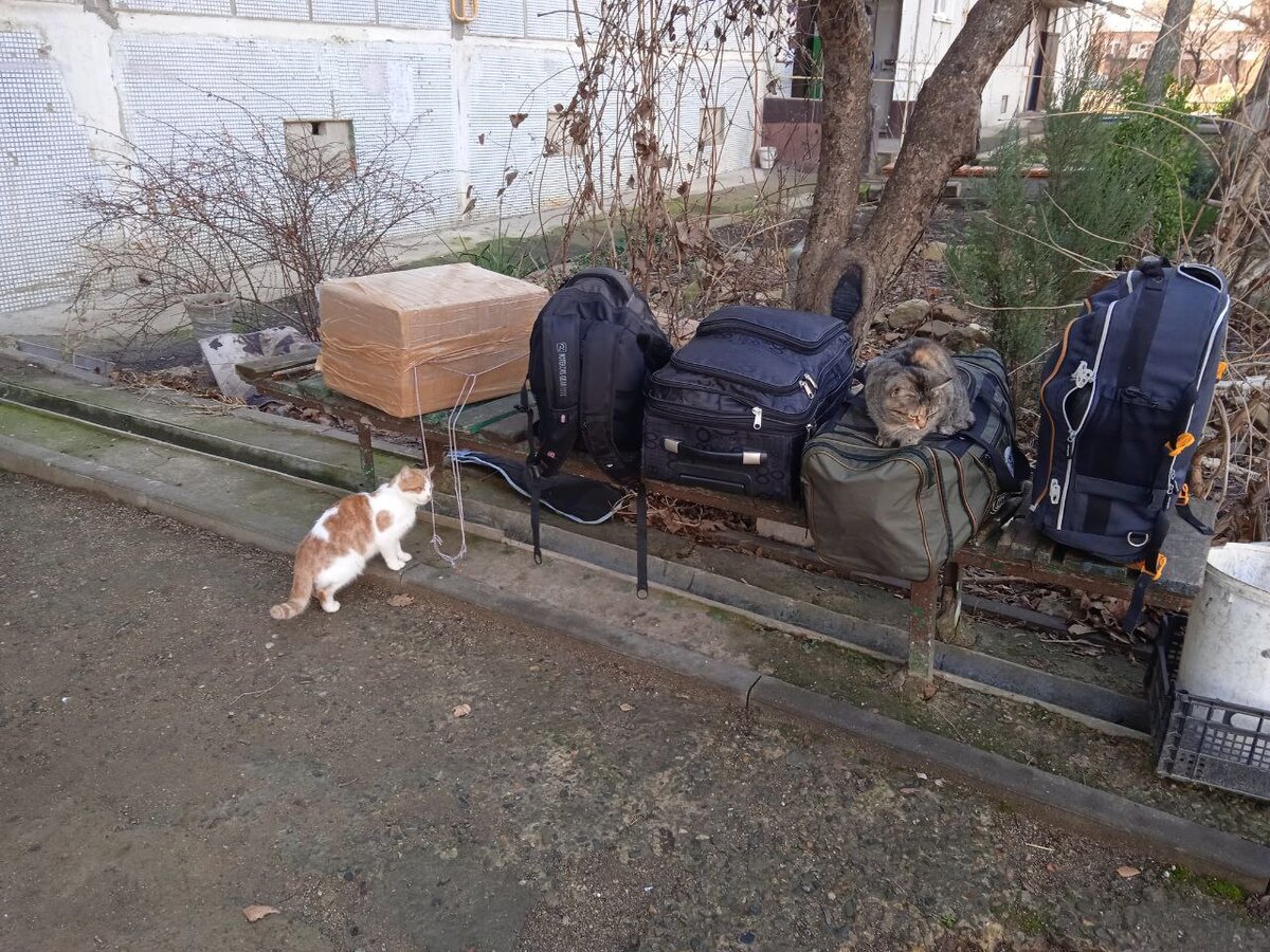 Фото из личного архива 