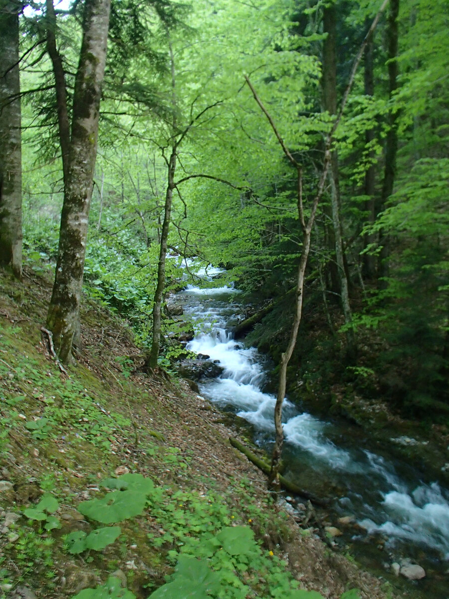 начало тропы