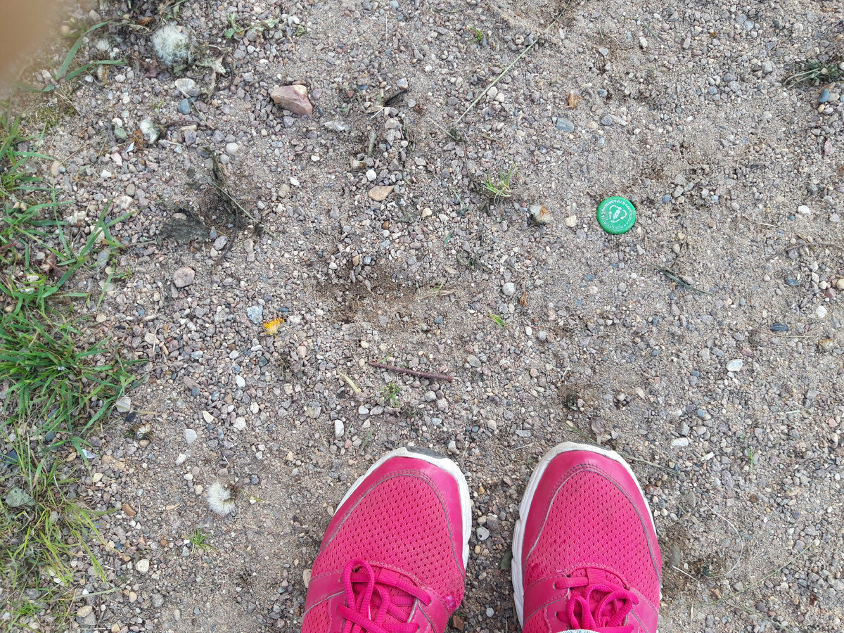 Фото и кроссовки автора. Покрытие на детской площадке. И это ещё чистое место