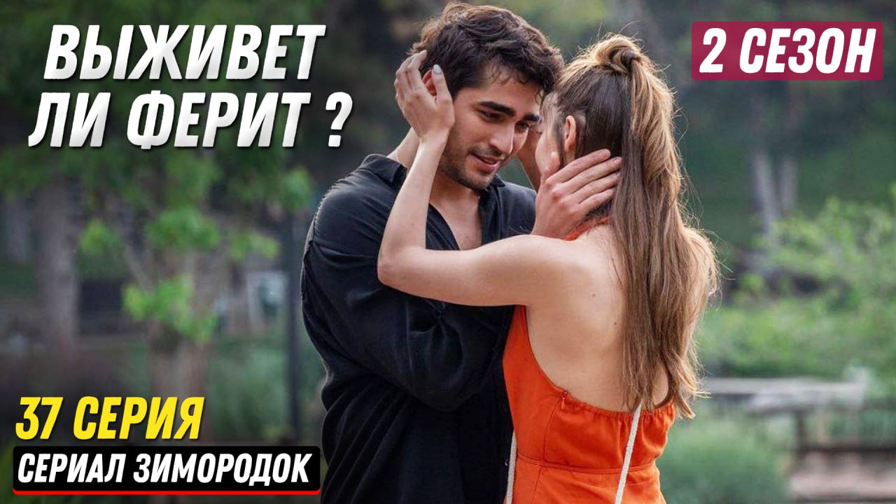 2 СЕЗОН ! Турецкий сериал Зимородок 37 серия русская озвучка - ВЫЖИВЕТ ЛИ  ФЕРИТ ? | Мылорама - Турецкие сериалы (Turk Dizi) | Дзен