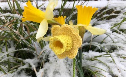 Ну да, вязаные нарциссы немного отличаются от живых - зато не завянут!