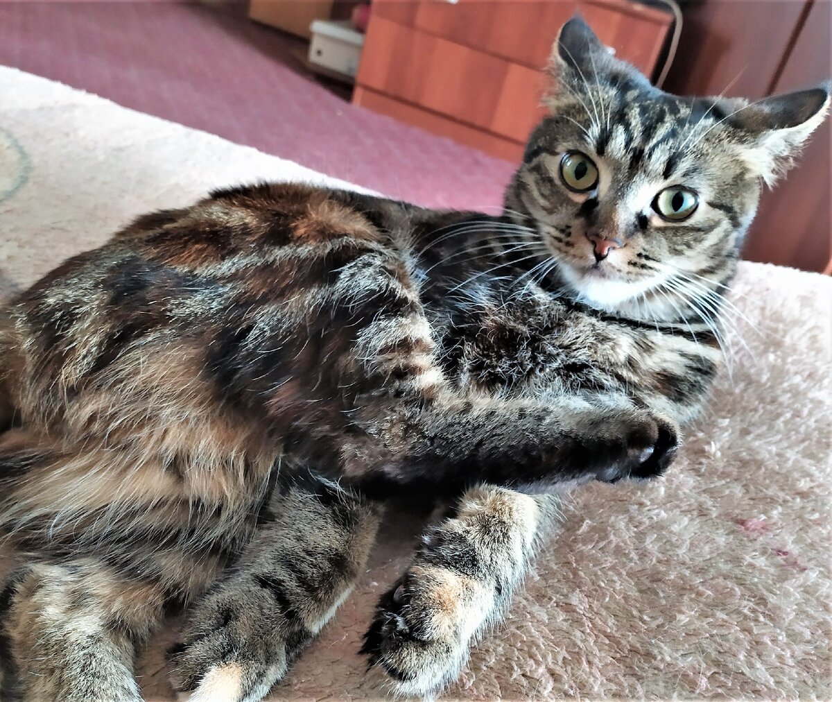 Фото из личного архива. Маркиза очень удивилась, узнав о намерениях Вольфа