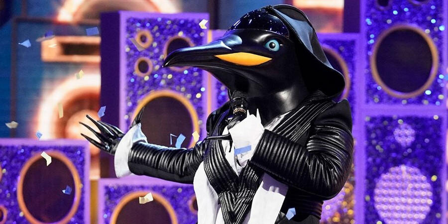 Пингвин. Фото из открытых источников.