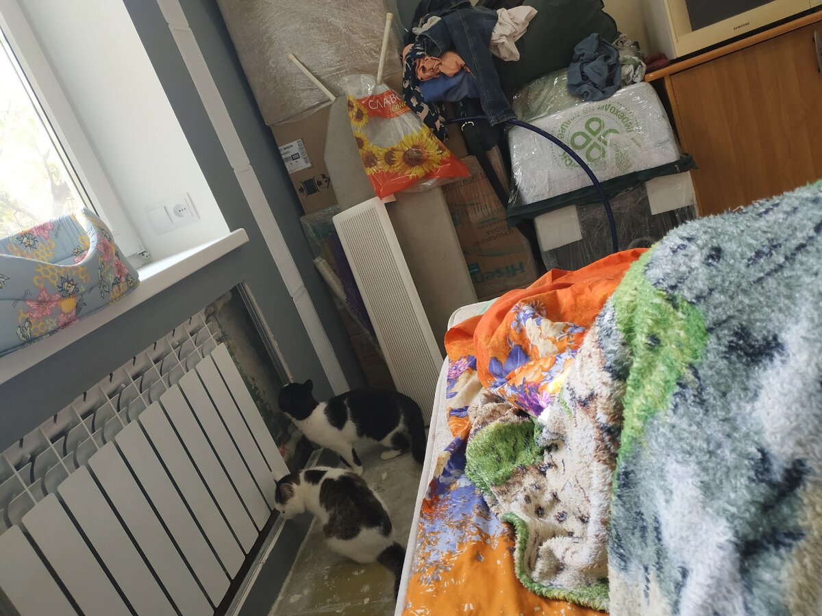 Что же там привлекло внимание?