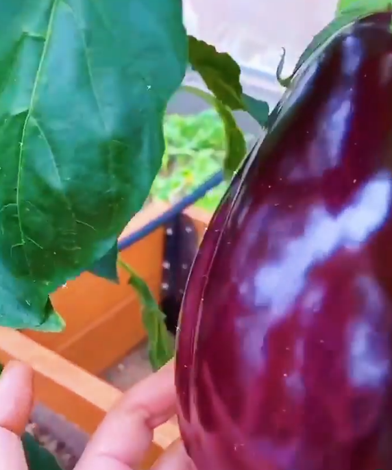 Сфотографировала для вас своего малыша)