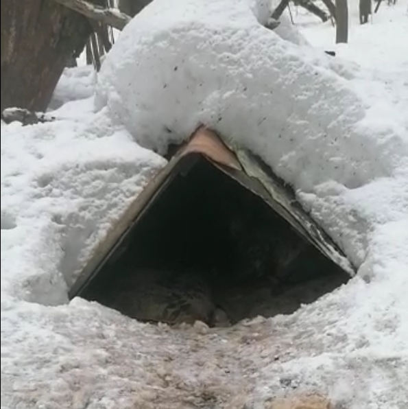 В такой импровизированной будочке, сделанной женщинами, жили малыши. Внутри было очень мокро и холодно.