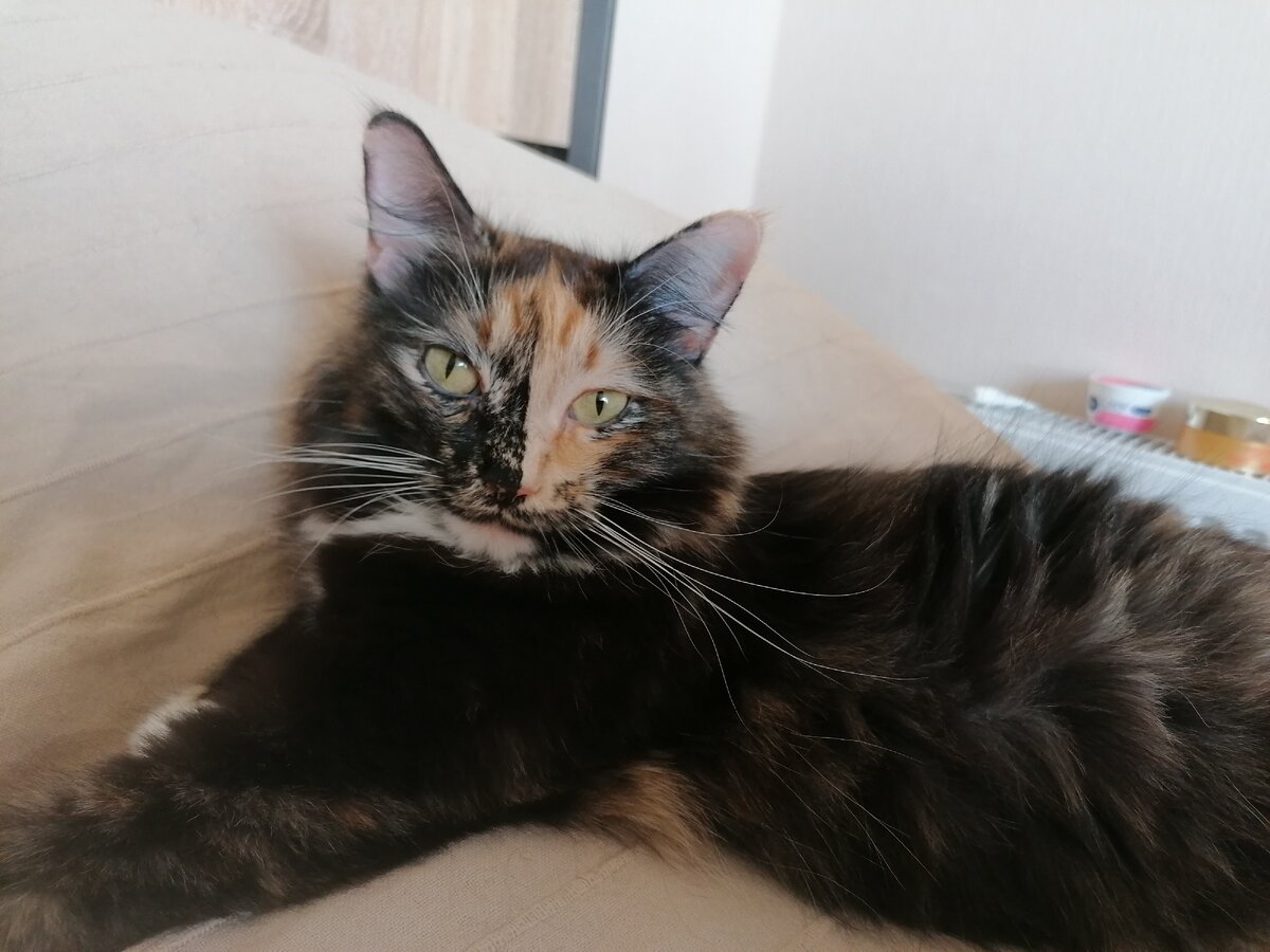 Красотка Бася