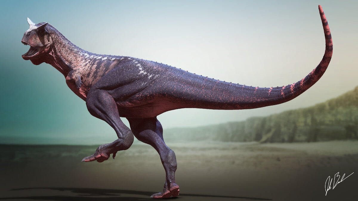 Художественное видение. 