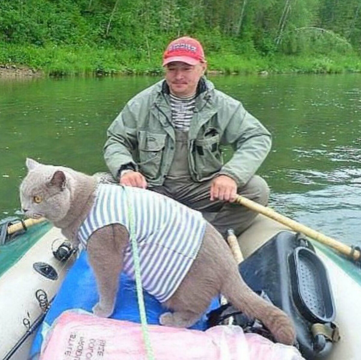 Смешная рыбалка. Приколы на рыбалке. Кот на рыбалке. Рыболовные приколы. Смешной Рыбак.