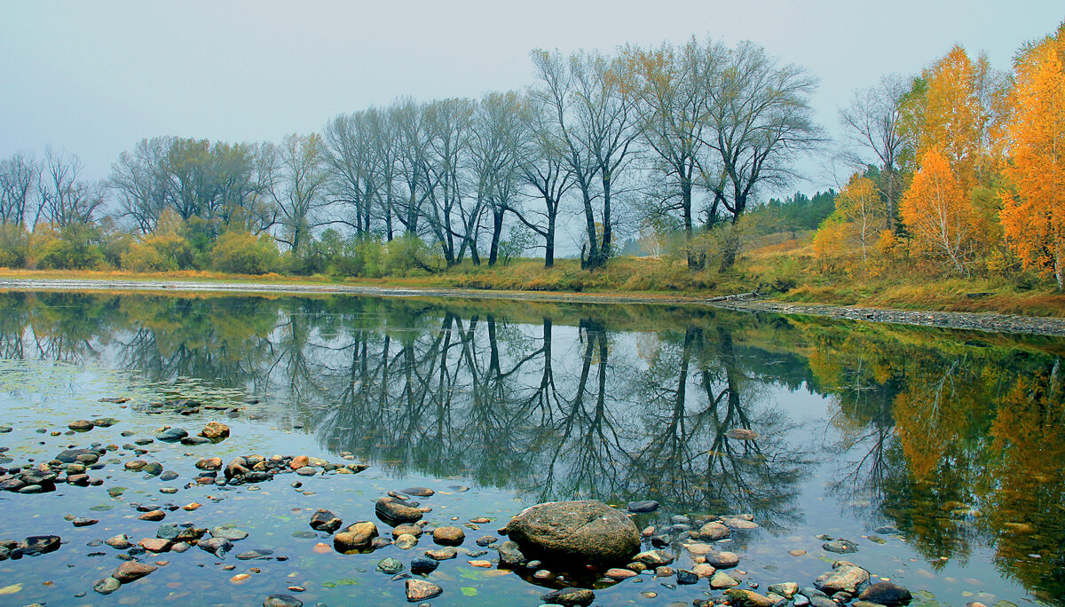 Фотография, стихотворение Василия Глуцкого