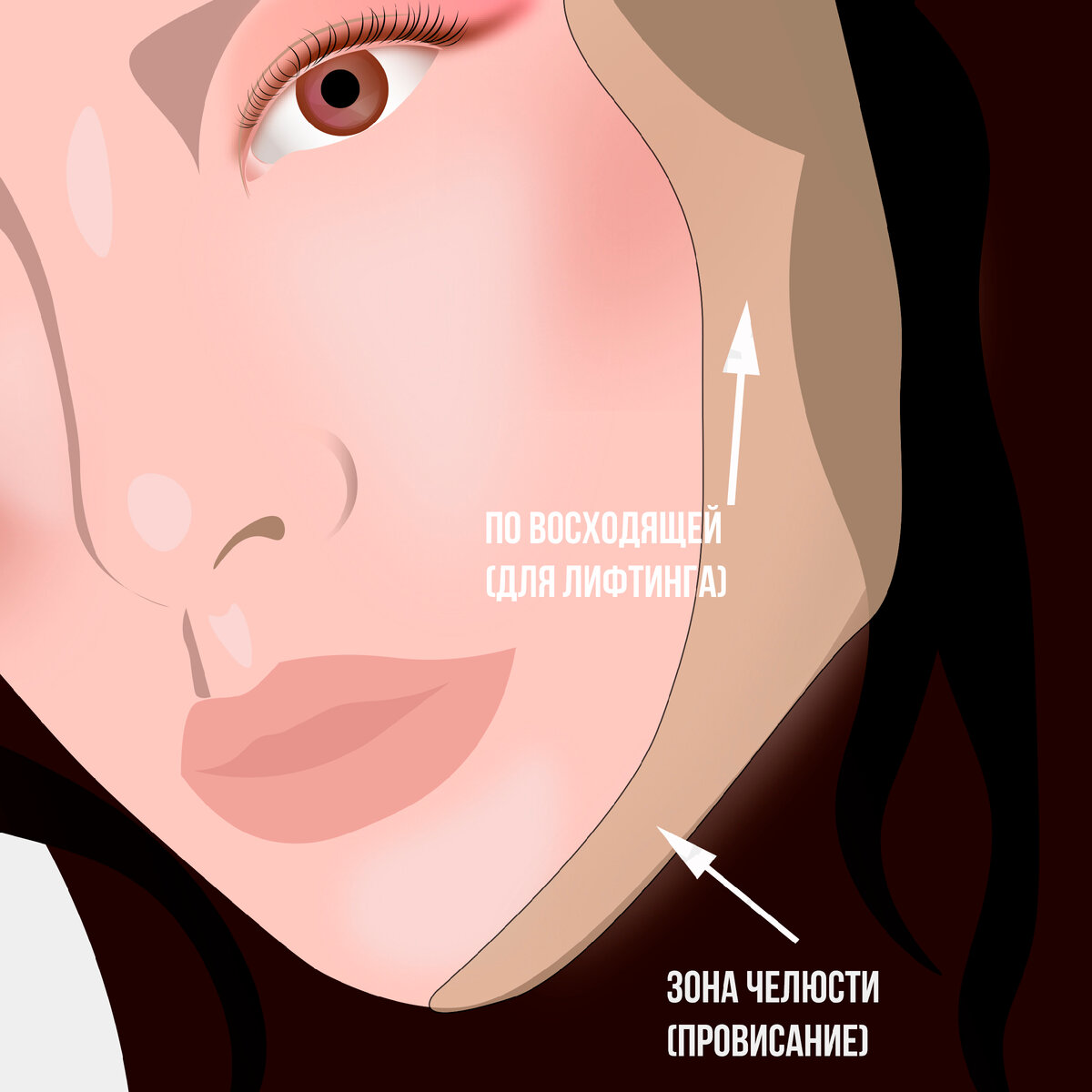 Все штрихи нужно делать по восходящим линиям, для того, чтобы визуально омолодить лицо, придать форму V, или перевернутого треугольника.