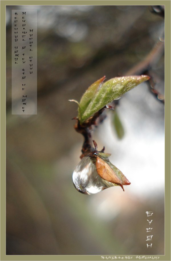 фото и обработка автора