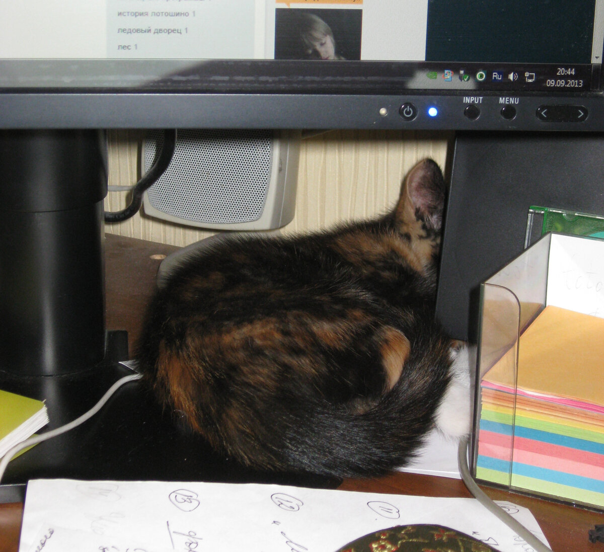 Маленькая Василиса спит около монитора. Фото автора