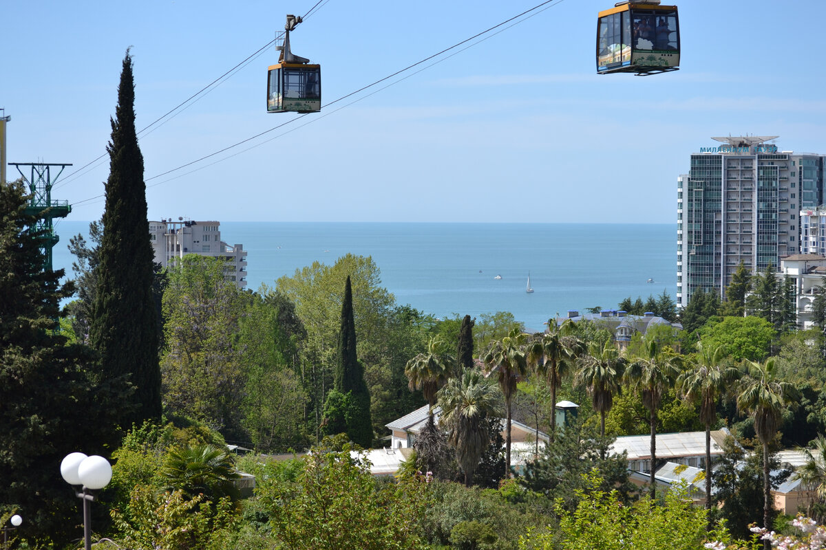Вид на Черное море из Дендрария