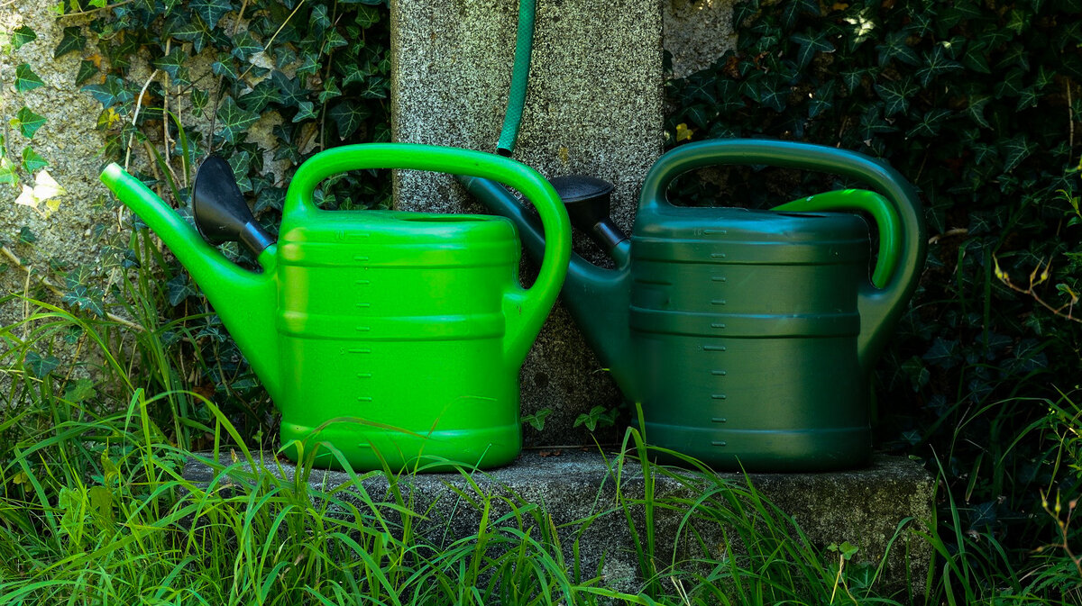 фото с сайта pixabay.com