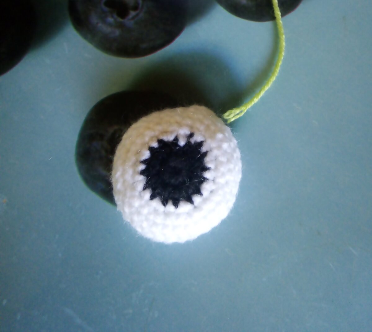 Глаз лягушки