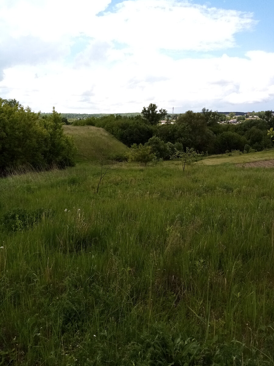 Вид из окна