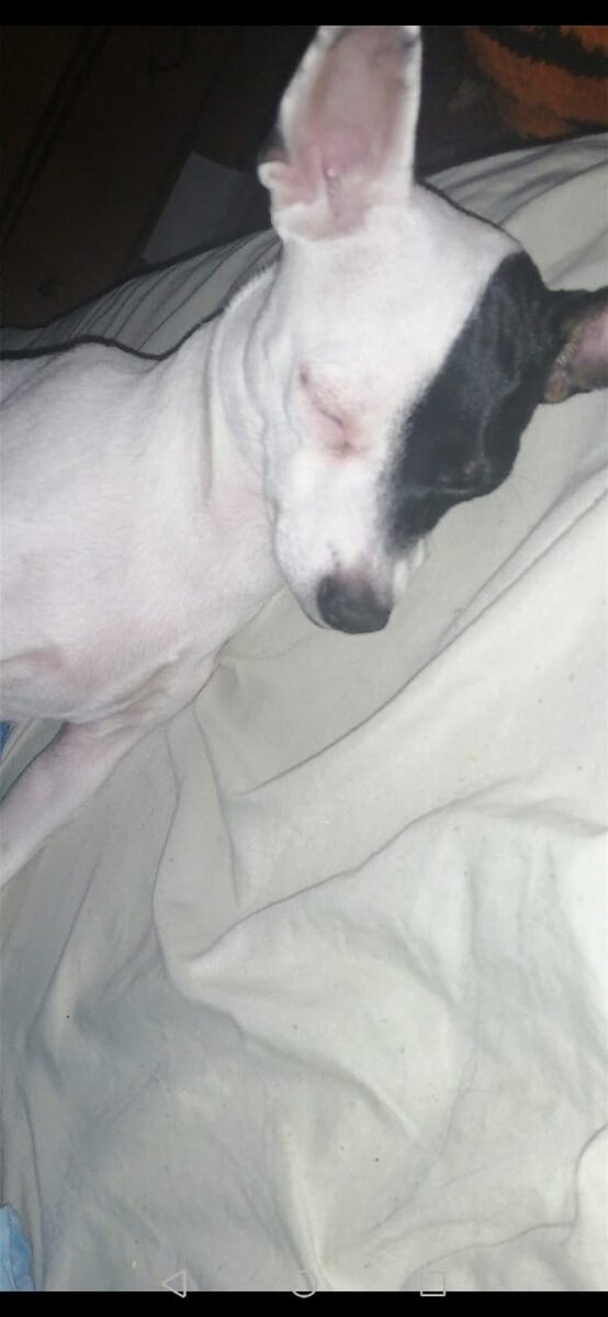 Бедный ребёнок, даже не подозревает что уже не нужна... 