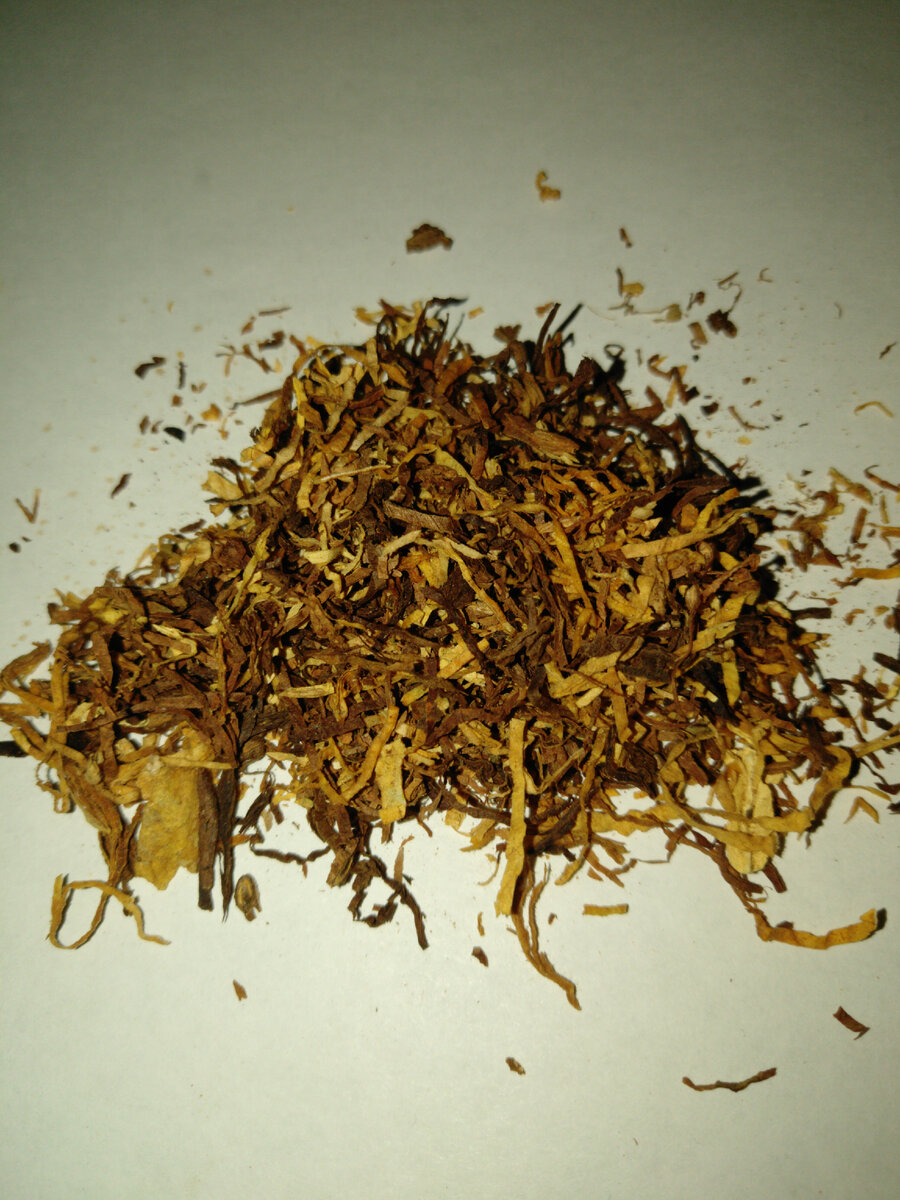 Авторское фото.