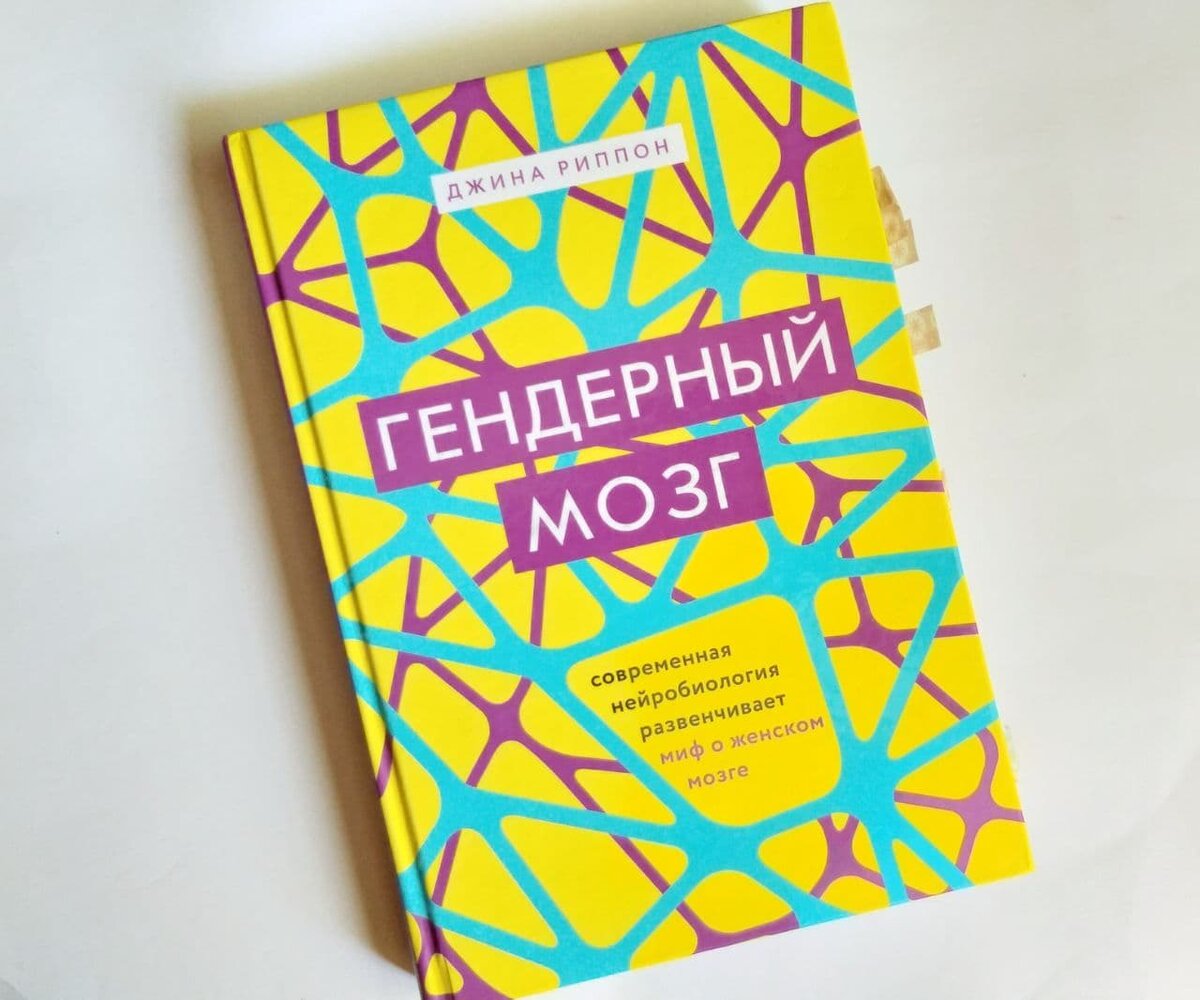 Гендерный мозг, Джина Риппон, 2019 год. Иллюстрация канала "Читательница"
