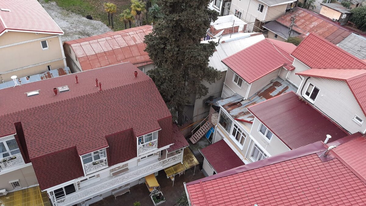 Фото автора. Когда живёшь в Сочи и не паришься насчёт личных границ