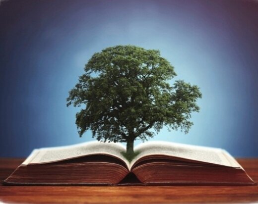 Энергетический прогноз на 23 июня