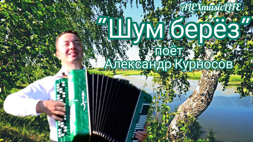 Белая береза кто исполняет. Шум берез Ноты. Белая березонька кто поет. Ноты шум берез слышу
