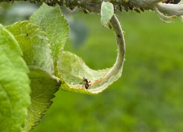    Фото: Светлана Лобова/ UG.RU