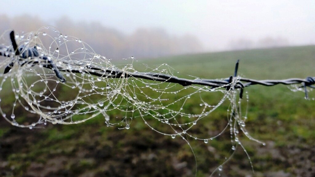 фото автора Алёна Р