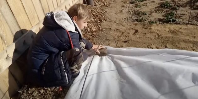 Кадр: Сады севера Казахстана / YouTube📷
