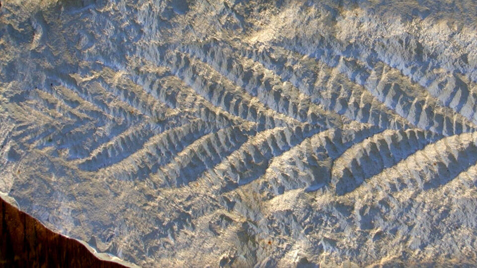 Фото: © Wikimedia Commons/Verisimilus