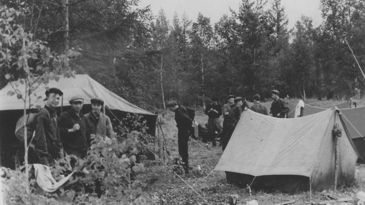 Полевой лагерь таксаторов